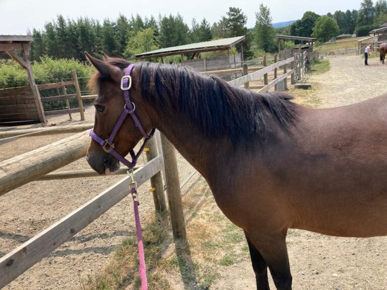 432136387_394495446777875_8252121040528466927_n